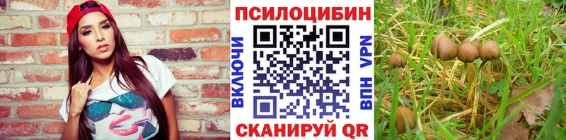 купить наркотики сайты  Тольятти  OMG как зайти  Псилоцибиновые грибы мухоморы 