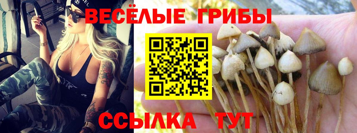 Галлюциногенные грибы Magic Shrooms  Галлюциногенные грибы ЛСД  Тольятти  Вход с VPN 