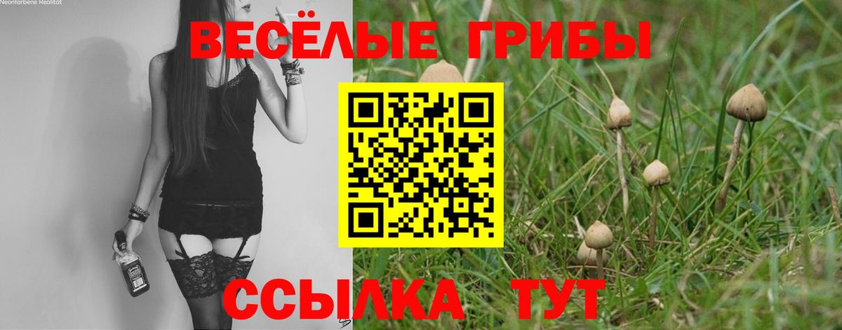 Псилоцибиновые грибы Magic Shrooms Тольятти